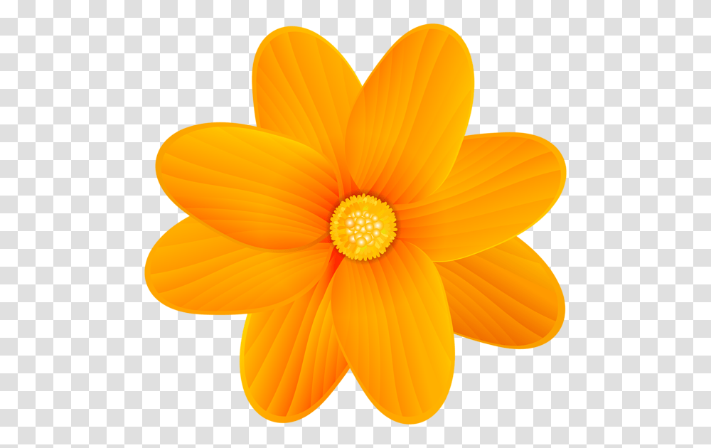 Orange Flower Clip Art Image Orange Flower, Dahlia, Plant, Blossom, Petal Transparent Png