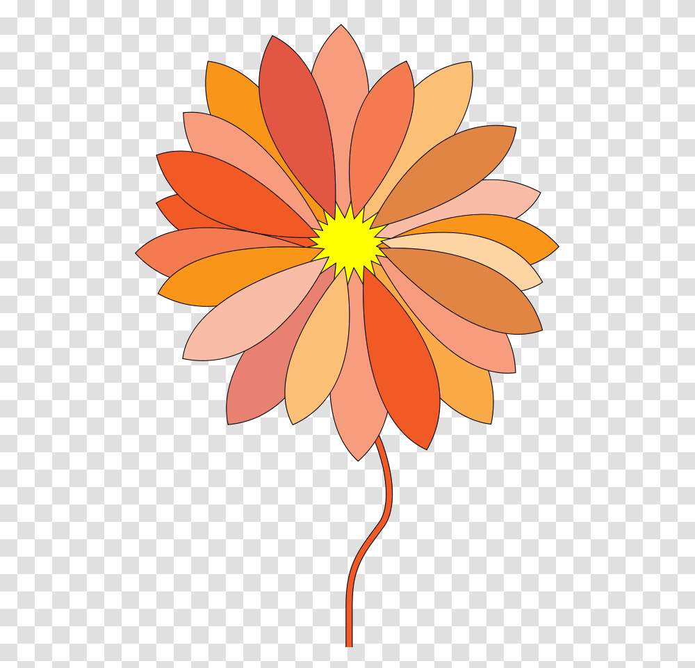 Orange Flower Clipart Cartoon Vector, Plant, Anther, Blossom, Petal Transparent Png