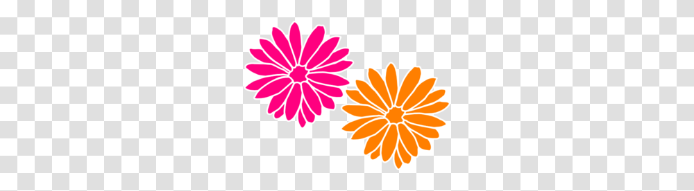 Orange Flower Clipart Colorful Flower, Floral Design, Pattern, Daisy Transparent Png