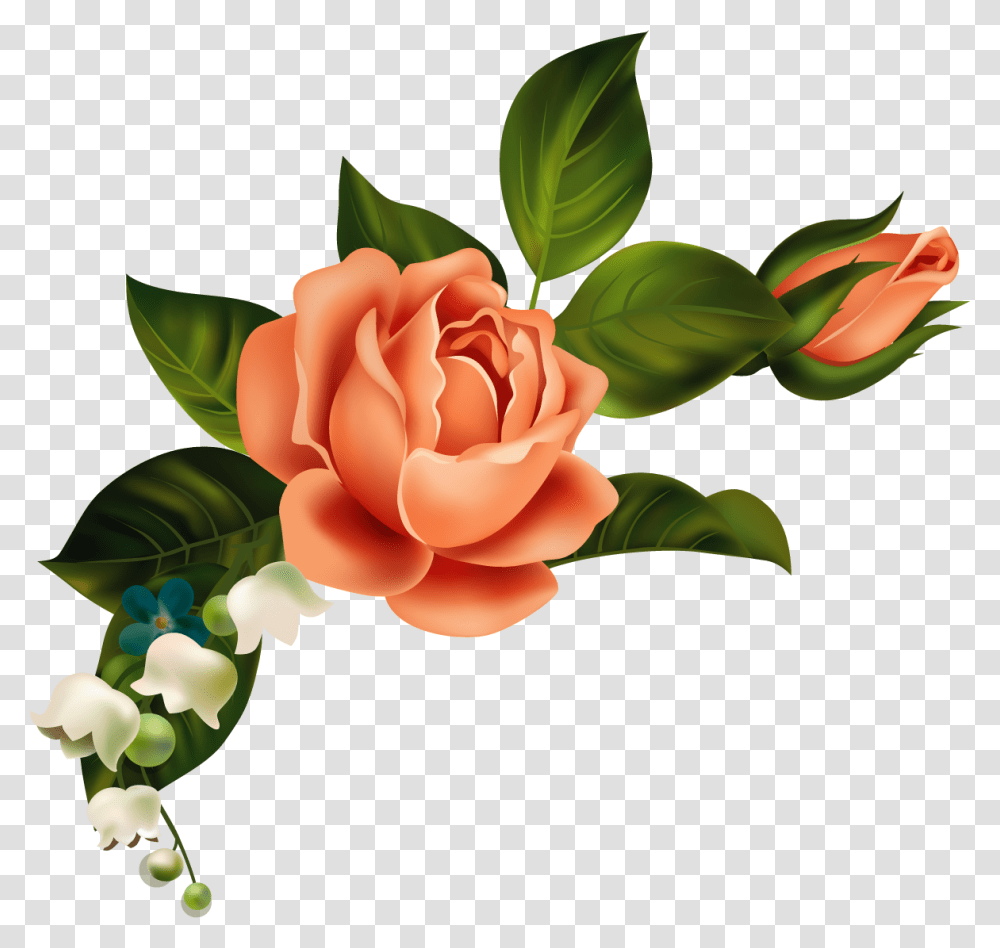 Orange Flower Clipart Corner Shawn Mendes Rose, Plant, Blossom, Petal, Bud Transparent Png