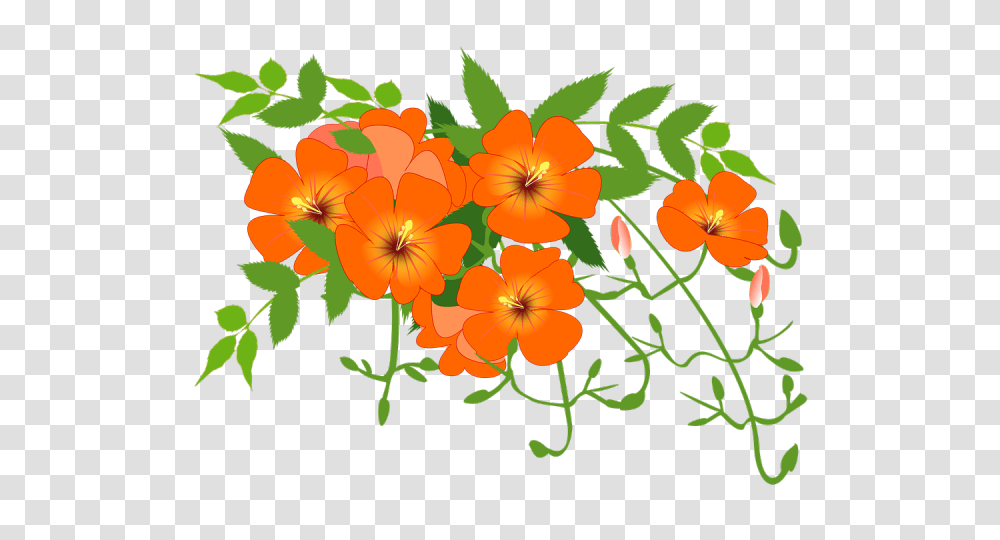 Orange Flower Clipart Five Flower, Plant, Floral Design, Pattern Transparent Png