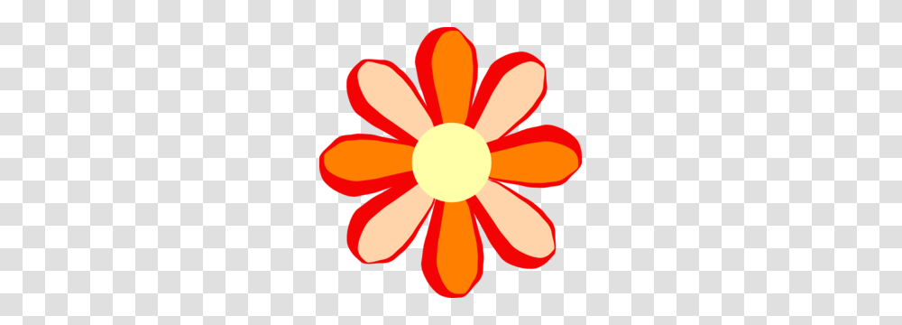 Orange Flower Clipart Flower Graphic, Petal, Plant, Blossom, Daisy Transparent Png