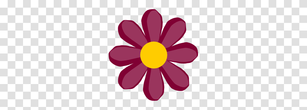 Orange Flower Clipart Purple, Daisy, Plant, Daisies, Blossom Transparent Png