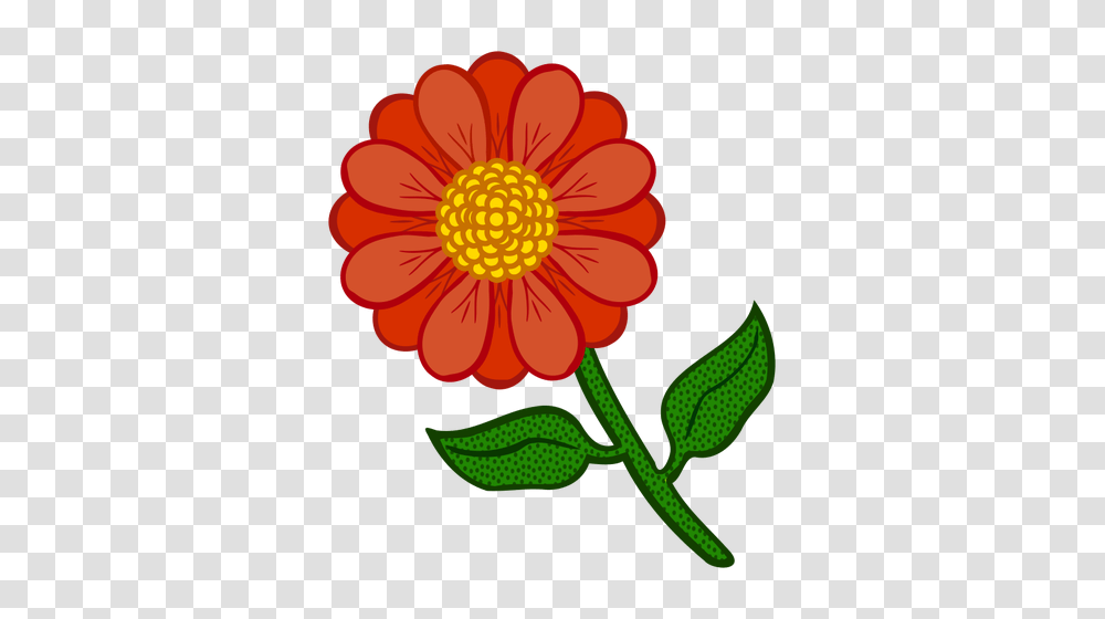 Orange Flower, Dahlia, Plant, Blossom, Petal Transparent Png