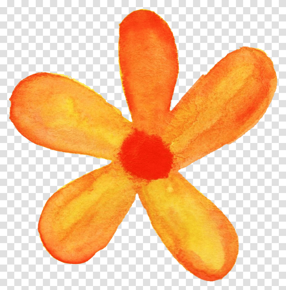 Orange Flower Watercolor Orange Flower Watercolor, Plant, Blossom, Fungus, Food Transparent Png