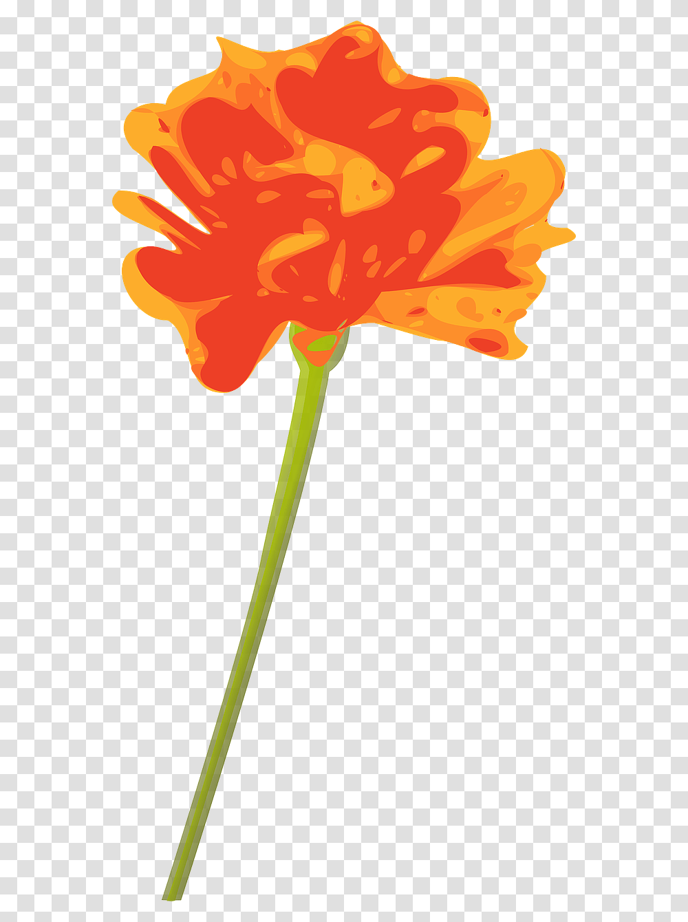 Orange Flower With Stem, Plant, Leaf, Blossom, Petal Transparent Png