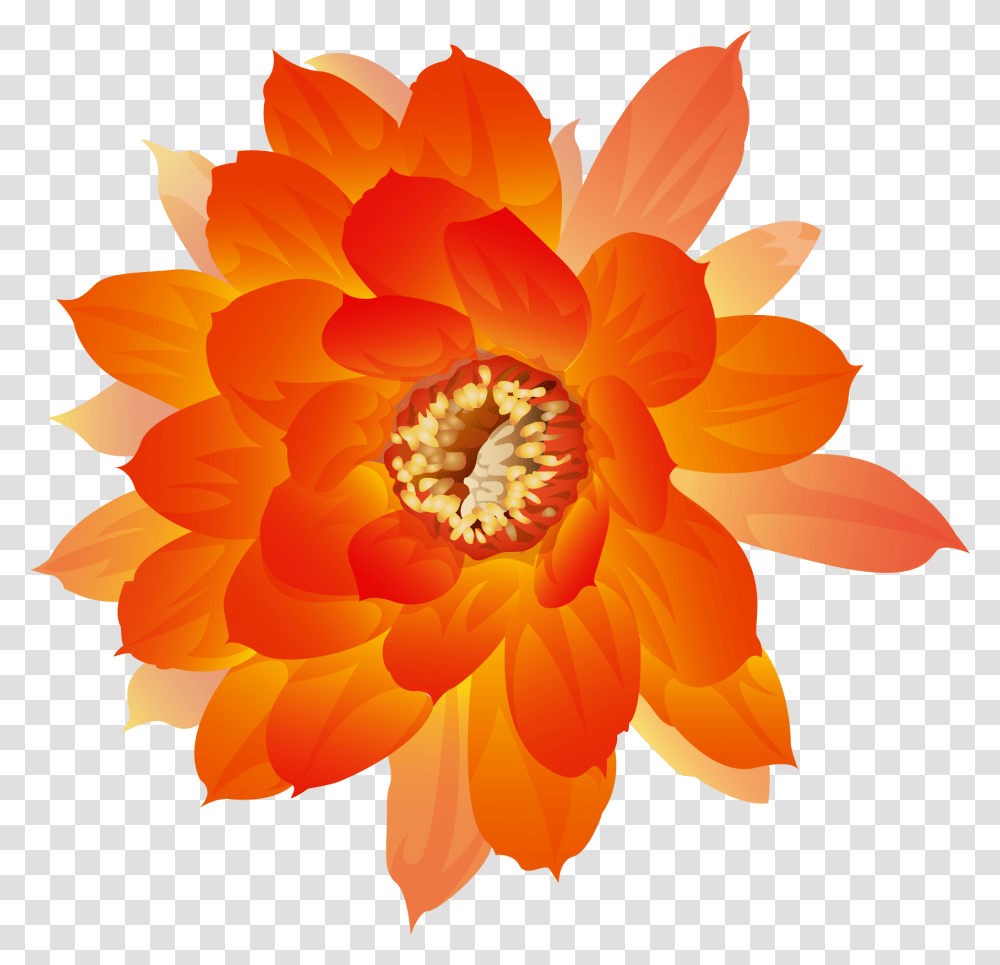Orange Flowers Bloom Download Orange Watercolor Flowers, Dahlia, Plant, Blossom, Anther Transparent Png