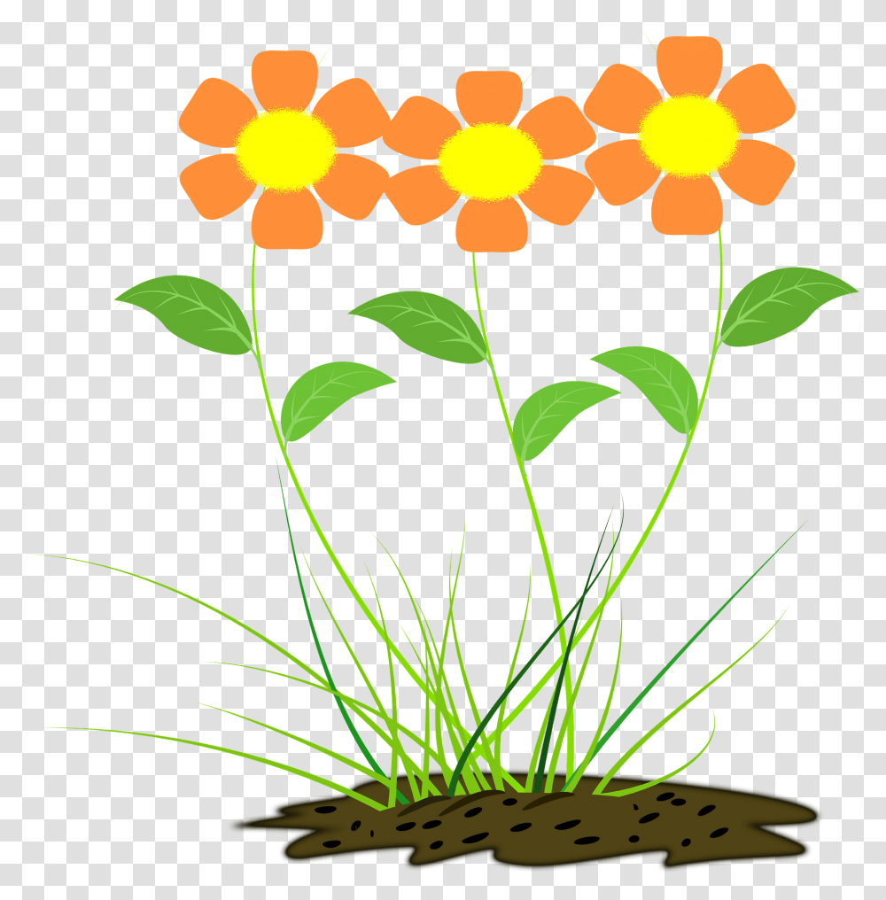 Orange Flowers Clipart Desenho Flor, Plant, Blossom, Graphics, Floral Design Transparent Png