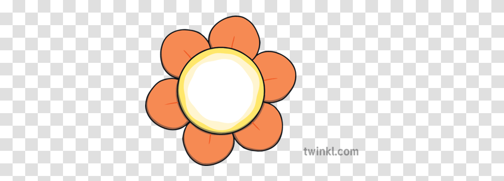 Orange Flowers Illustration Fraternal Order Of Police, Sweets, Food, Lamp, Produce Transparent Png