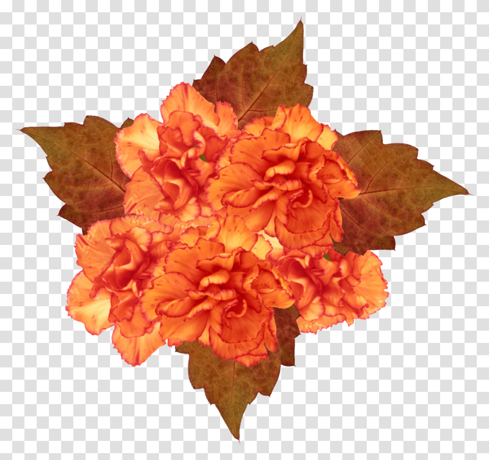 Orange Flowers, Plant, Leaf, Blossom, Tree Transparent Png