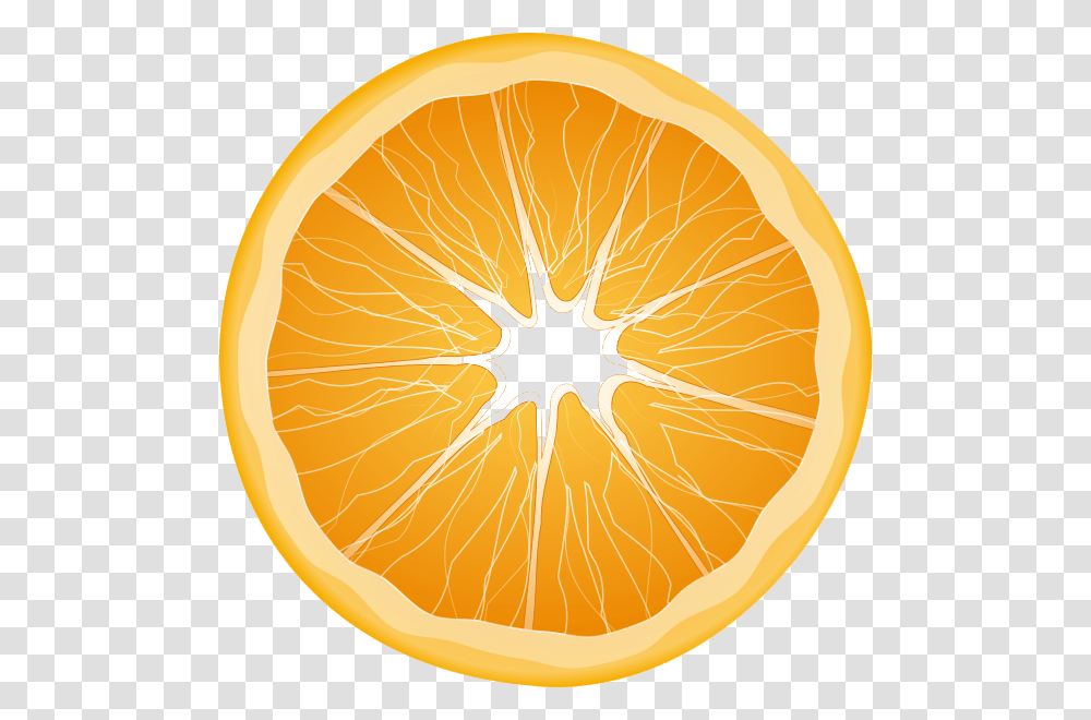Orange Free Download Orange Wedge Orange Slice Clipart, Citrus Fruit, Plant, Food, Grapefruit Transparent Png