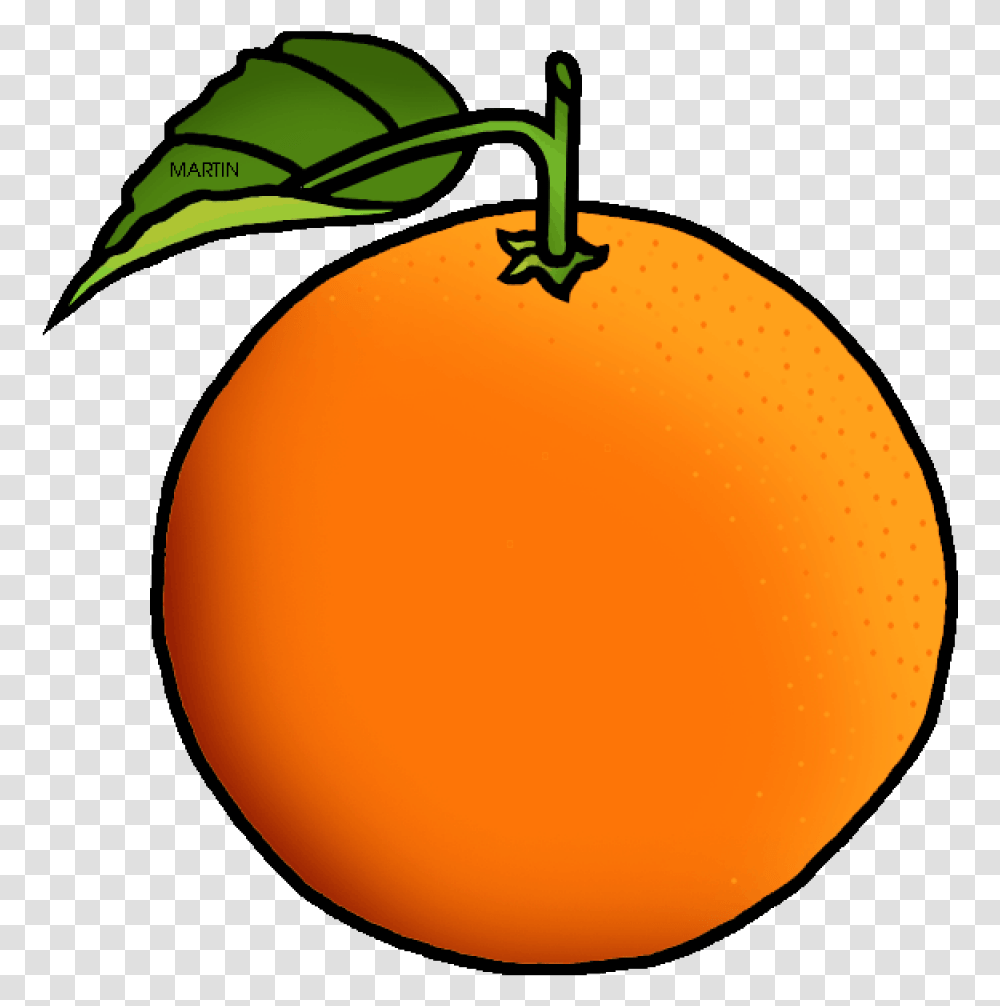 Orange Free United States Cli Orange Clipart, Plant, Fruit, Food, Citrus Fruit Transparent Png