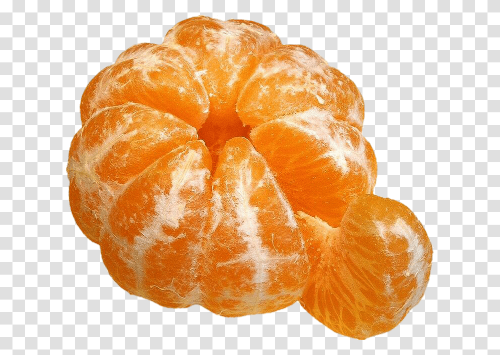 Orange Fruit, Citrus Fruit, Plant, Food, Fungus Transparent Png