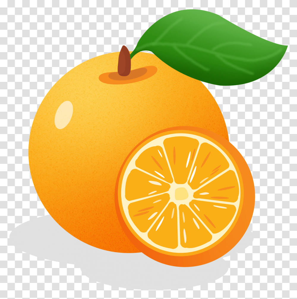 Orange Fruit, Citrus Fruit, Plant, Food, Lemon Transparent Png