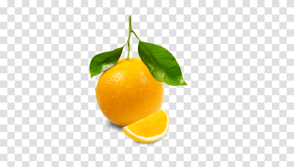 Orange, Fruit, Citrus Fruit, Plant, Food Transparent Png