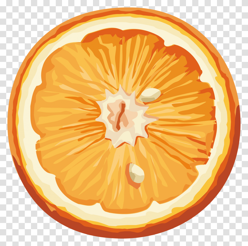 Orange, Fruit, Citrus Fruit, Plant, Food Transparent Png