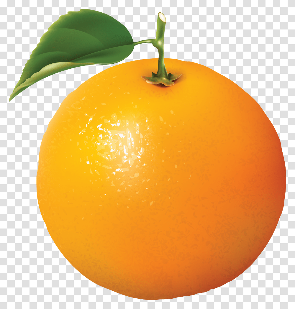 Orange, Fruit, Citrus Fruit, Plant, Food Transparent Png