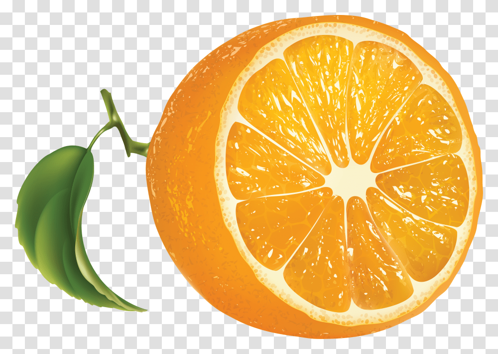 Orange, Fruit, Citrus Fruit, Plant, Food Transparent Png