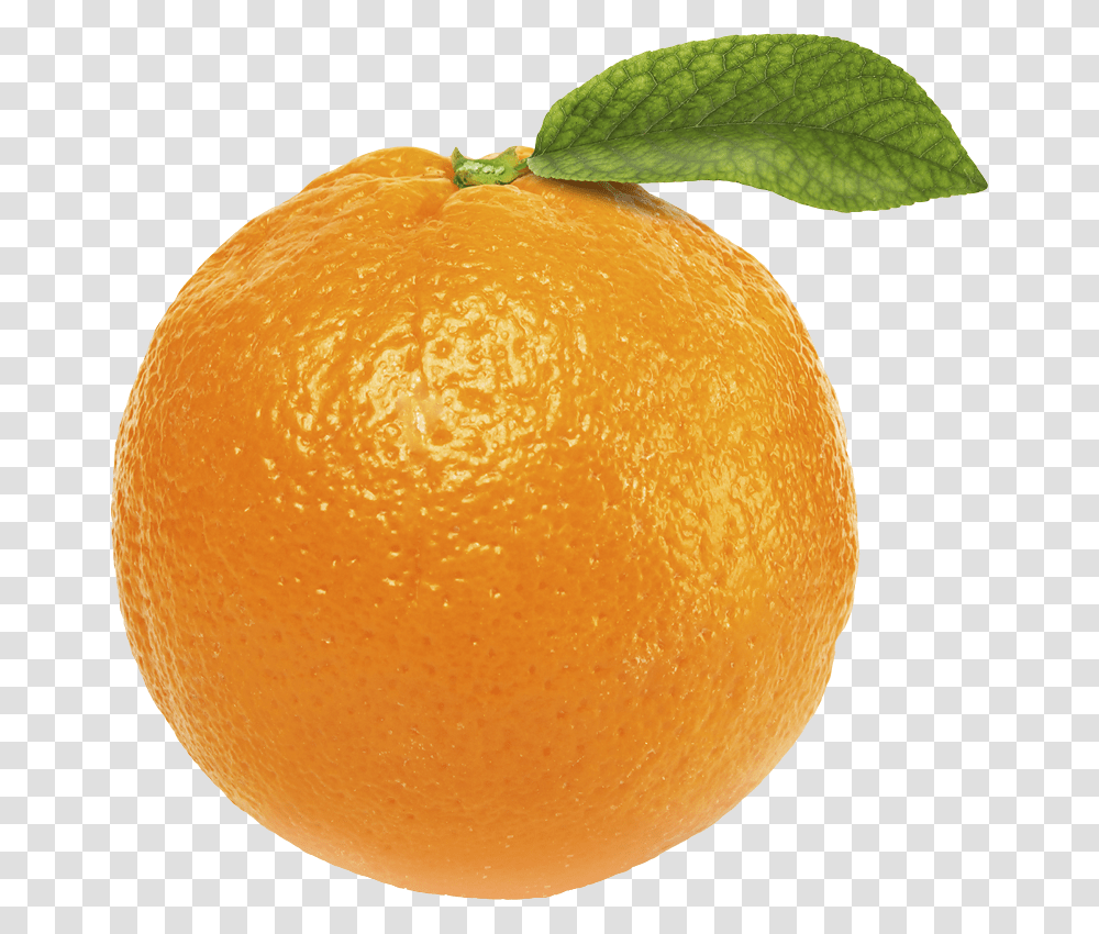 Orange, Fruit, Citrus Fruit, Plant, Food Transparent Png