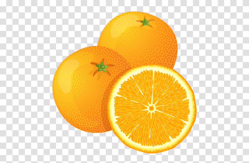 Orange, Fruit, Citrus Fruit, Plant, Food Transparent Png