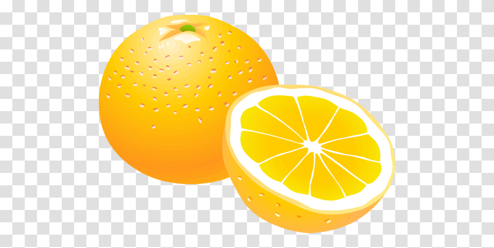 Orange, Fruit, Citrus Fruit, Plant, Food Transparent Png