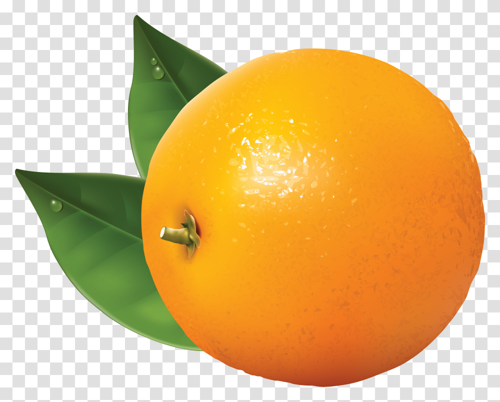 Orange, Fruit, Citrus Fruit, Plant, Food Transparent Png