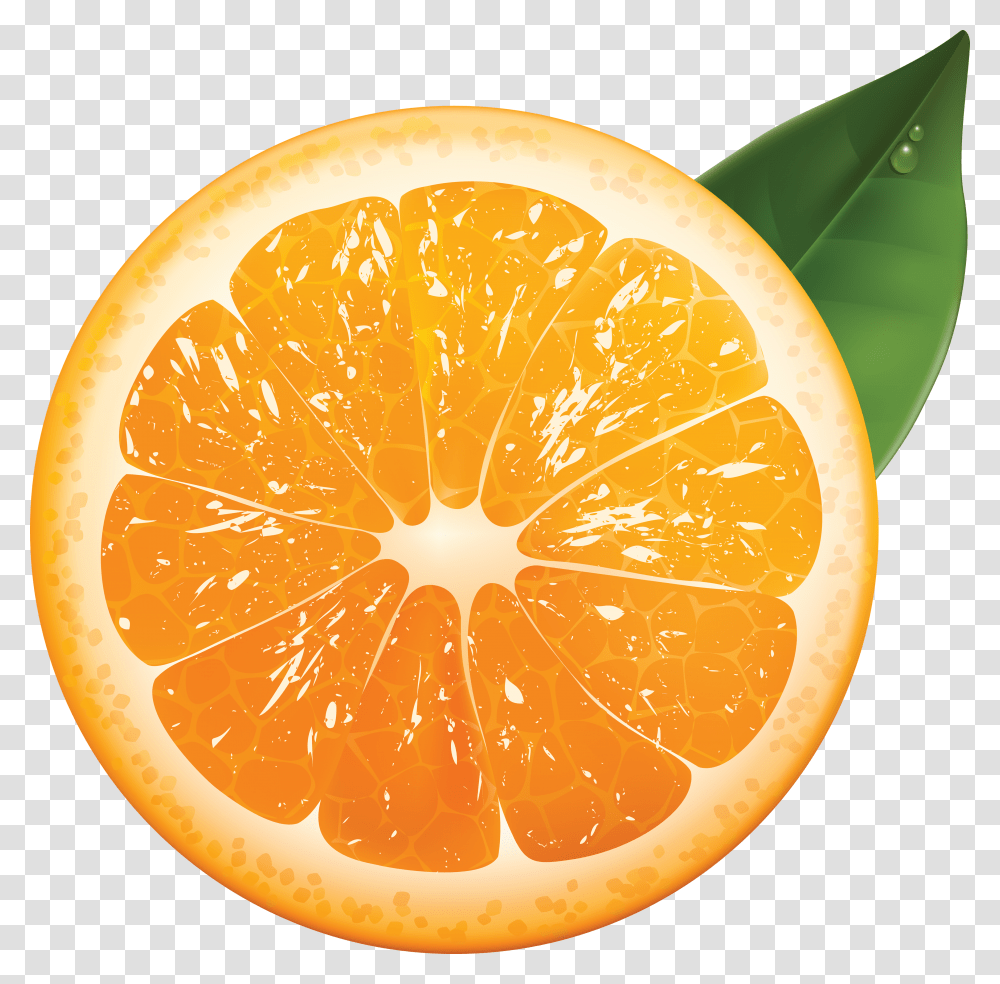 Orange, Fruit, Citrus Fruit, Plant, Food Transparent Png