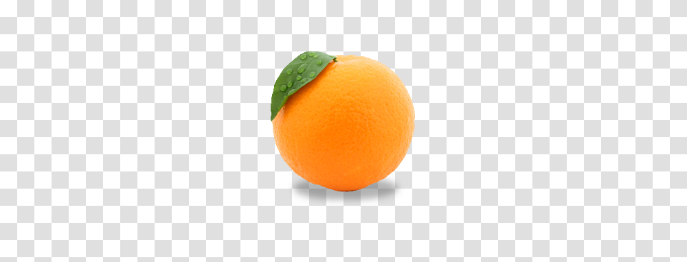 Orange, Fruit, Citrus Fruit, Plant, Food Transparent Png