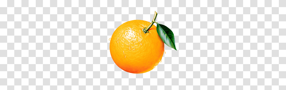 Orange, Fruit, Citrus Fruit, Plant, Food Transparent Png