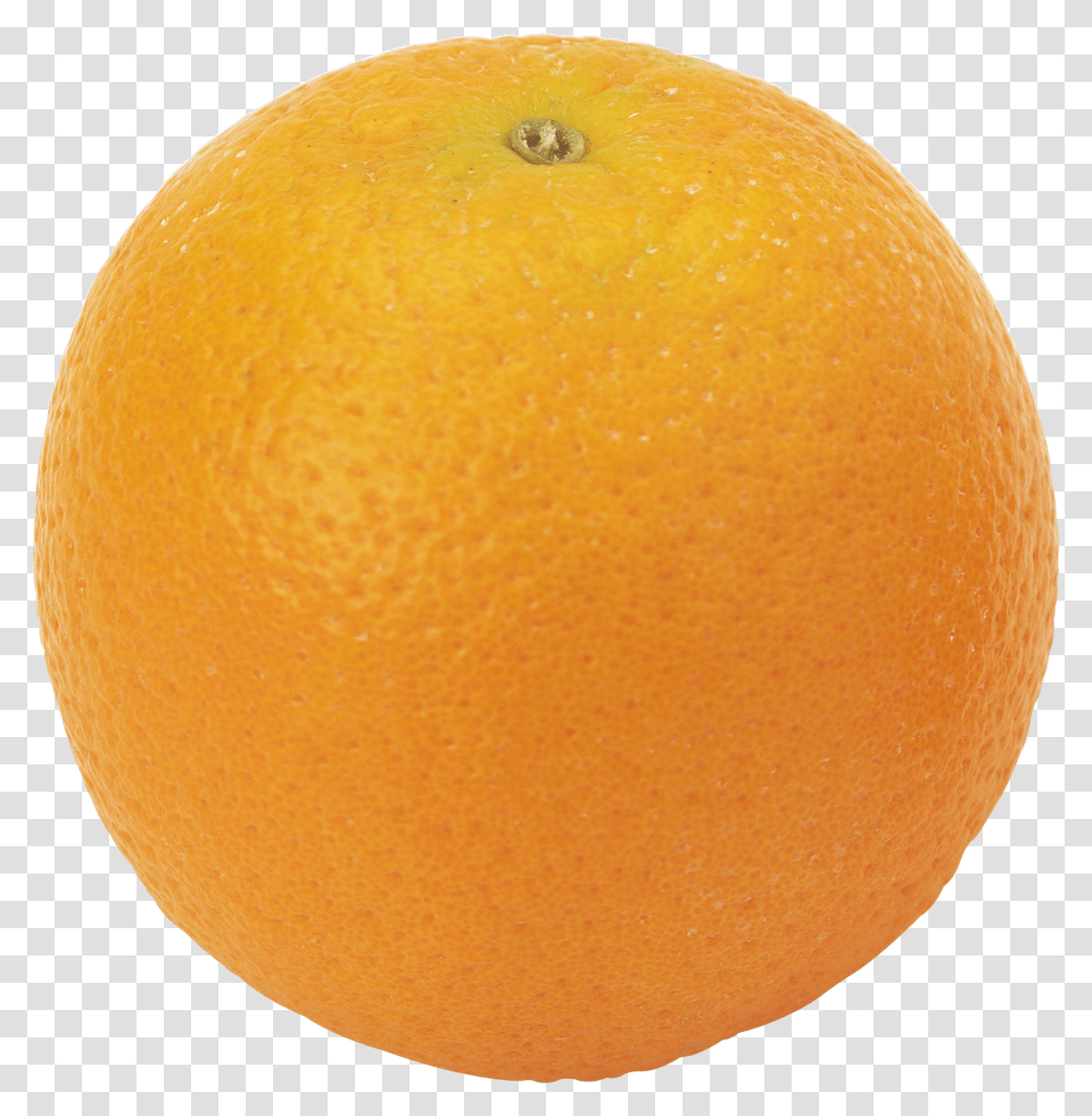 Orange, Fruit, Citrus Fruit, Plant, Food Transparent Png