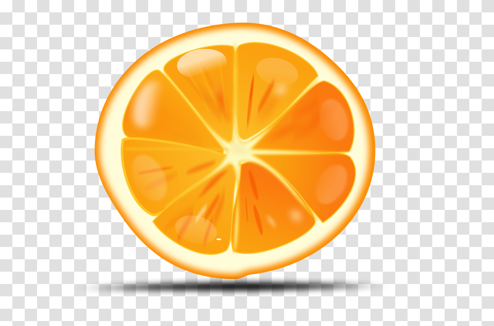 Orange, Fruit, Citrus Fruit, Plant, Food Transparent Png