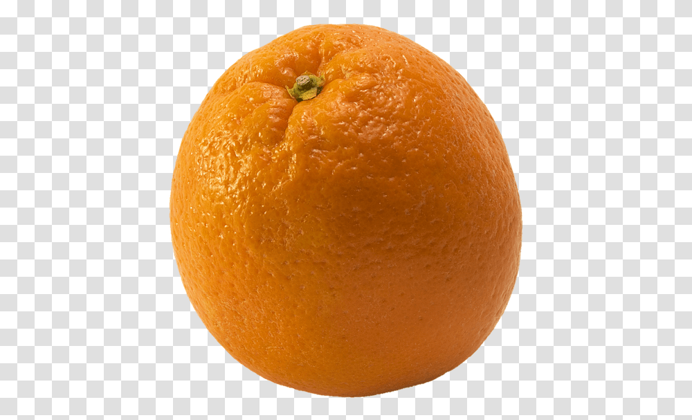 Orange Fruit Citrus Fruits Free Photo Orange, Plant, Food, Grapefruit, Produce Transparent Png