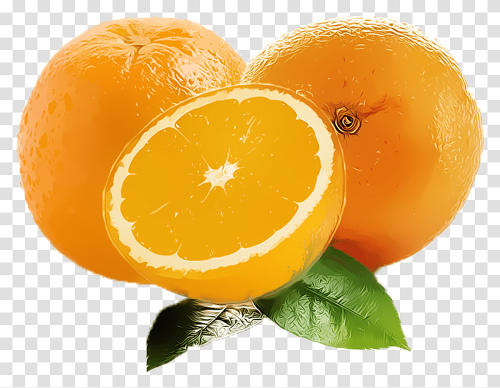 Orange Fruit Clipart Free Download Searchpng Clementine, Citrus Fruit, Plant, Food, Grapefruit Transparent Png