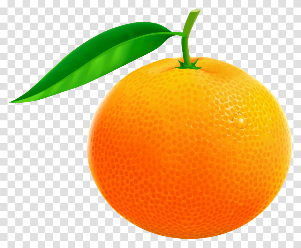 Orange Fruit Clipart Orange Images Clip Art, Citrus Fruit, Plant, Food, Grapefruit Transparent Png