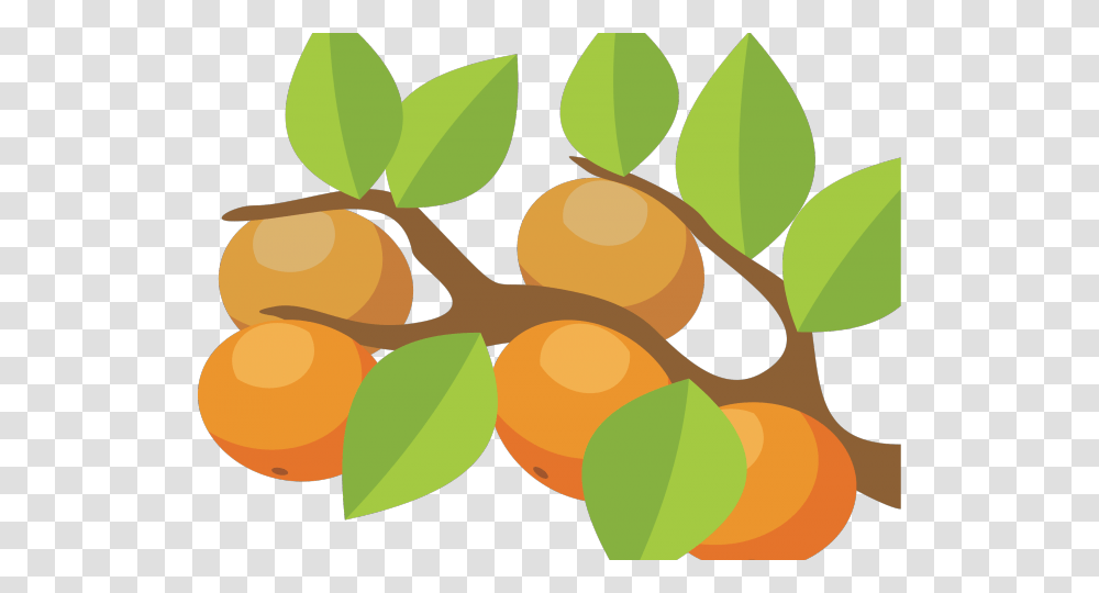 Orange Fruit Clipart Orange Tree Orange Tree Clipart, Plant, Leaf, Produce, Food Transparent Png