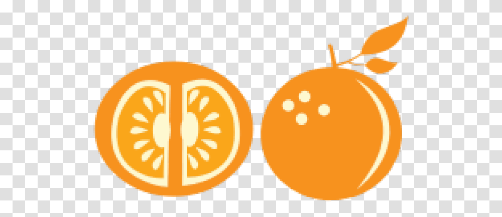 Orange Fruit Clipart Slice Illustration Circle, Plant, Citrus Fruit, Food, Produce Transparent Png