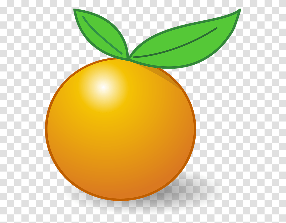 Orange Fruit Clipart Small Fruit, Citrus Fruit, Plant, Food, Produce Transparent Png