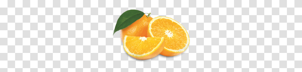 Orange Fruit Concentrate, Citrus Fruit, Plant, Food, Grapefruit Transparent Png