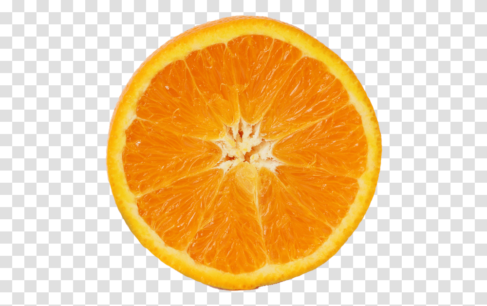 Orange Fruit Download, Citrus Fruit, Plant, Food, Grapefruit Transparent Png