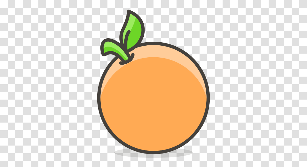 Orange Fruit Free Icon Of Another Orange Colour Outline, Plant, Food, Apricot, Produce Transparent Png