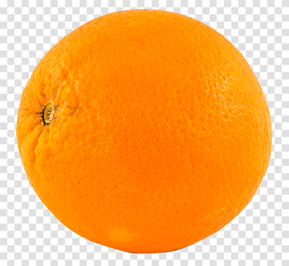 Orange Fruit Image Blood Orange, Citrus Fruit, Plant, Food, Grapefruit Transparent Png