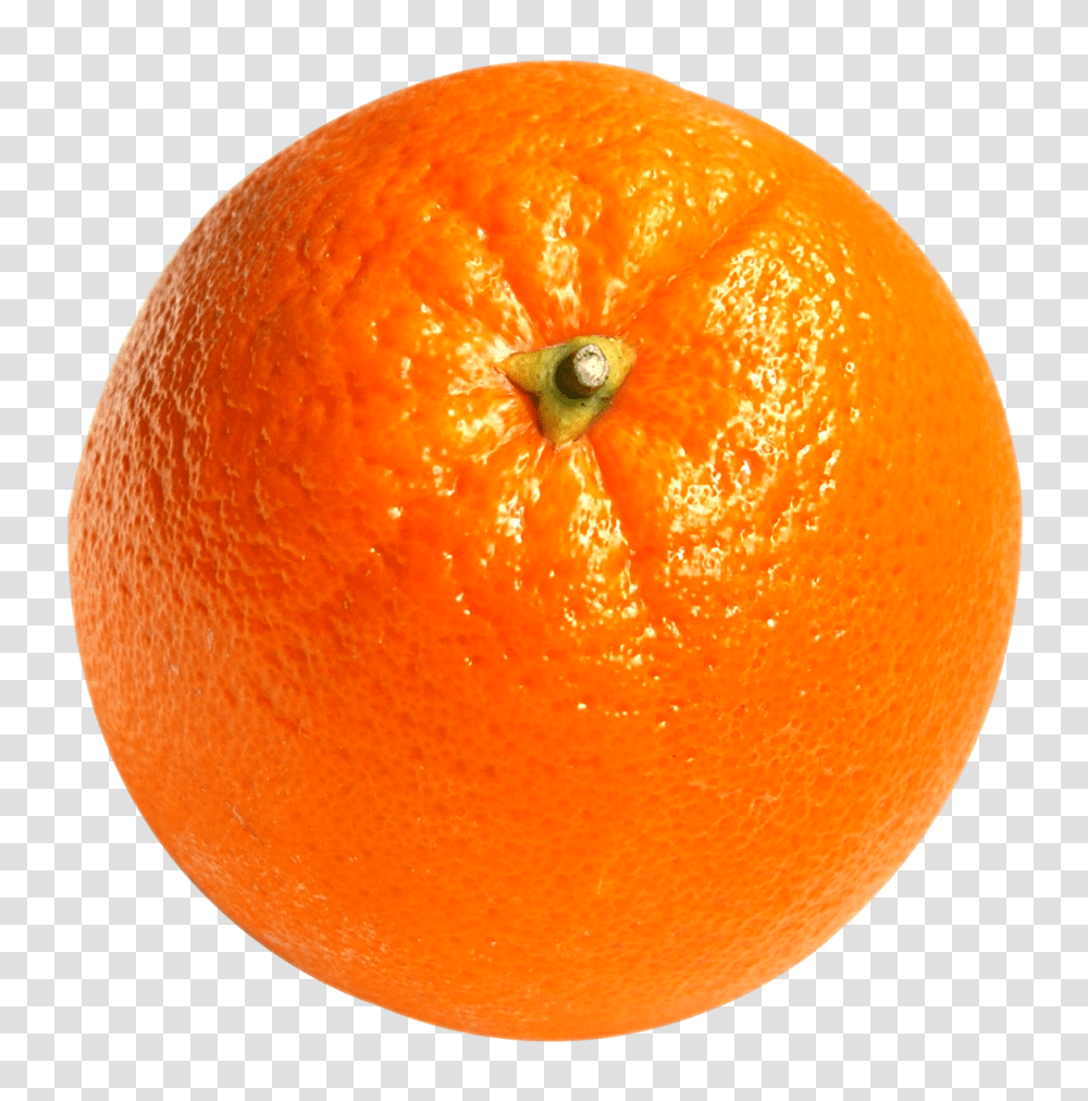 Orange Fruit Image, Citrus Fruit, Plant, Food, Grapefruit Transparent Png