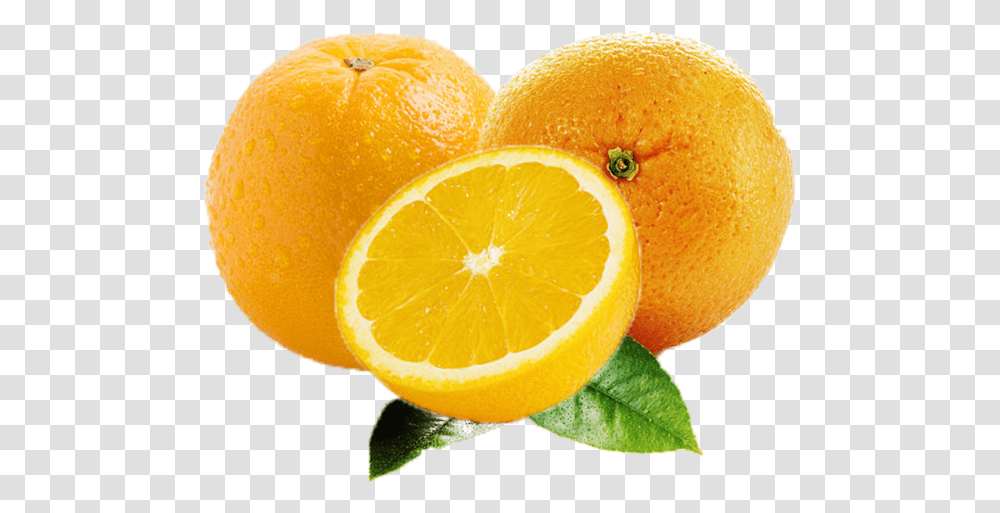 Orange Fruit Images Free Download Searchpng Orange, Citrus Fruit, Plant, Food, Lemon Transparent Png