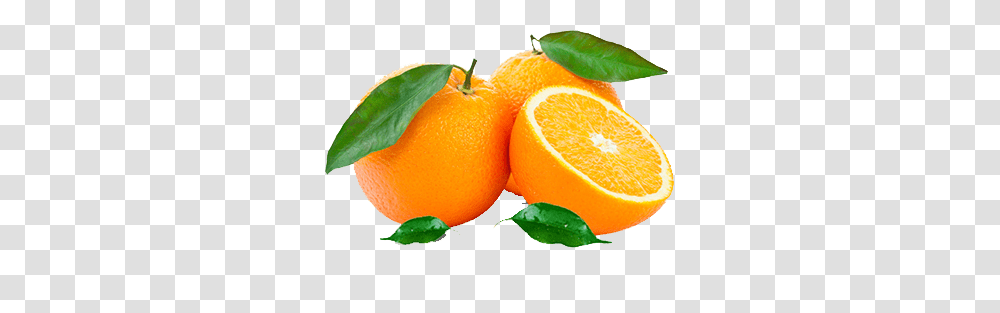 Orange Fruit Juice Benefits, Citrus Fruit, Plant, Food, Grapefruit Transparent Png