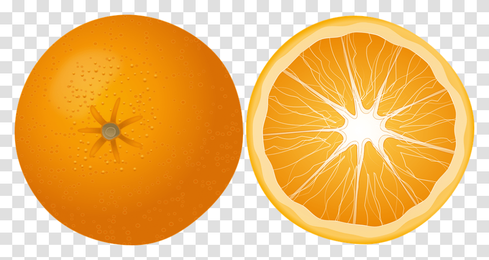 Orange Fruit Mandarin Citrus Fruit Juicy Yummy Free Orange Slice Clipart, Plant, Food, Insect, Invertebrate Transparent Png