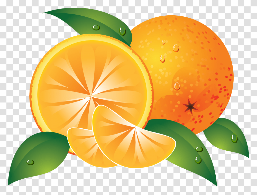 Orange, Fruit, Plant, Citrus Fruit, Food Transparent Png