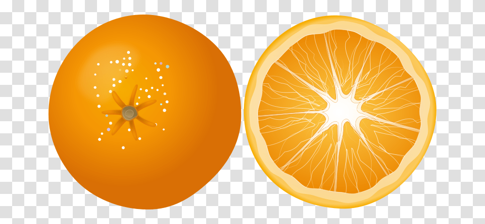 Orange, Fruit, Plant, Citrus Fruit, Food Transparent Png