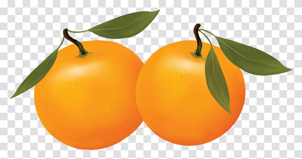 Orange, Fruit, Plant, Food, Citrus Fruit Transparent Png