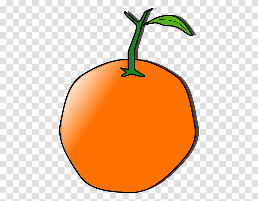 Orange Fruit Tangerine Free Vector Graphic On Pixabay Orange Clip Art, Plant, Food, Citrus Fruit, Lamp Transparent Png