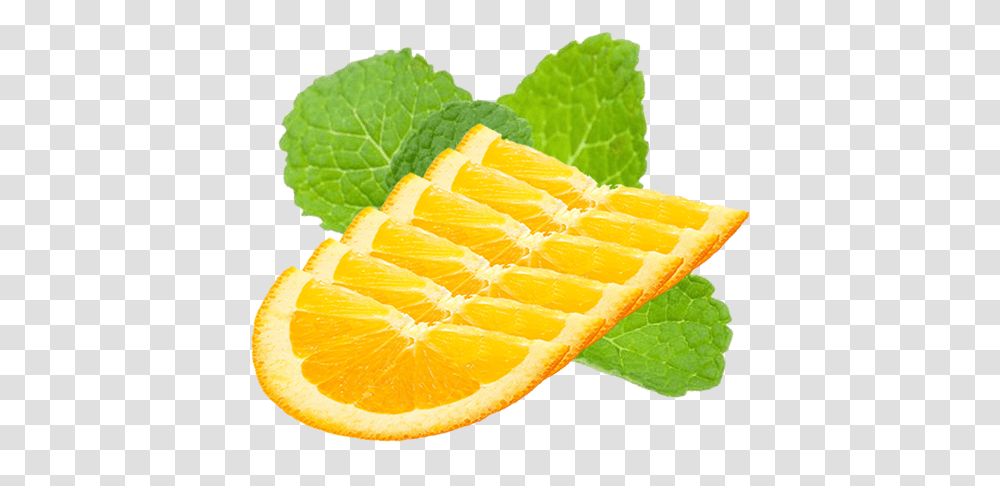 Orange Half Slices Half Slice Orange Garnish, Plant, Citrus Fruit, Food, Potted Plant Transparent Png